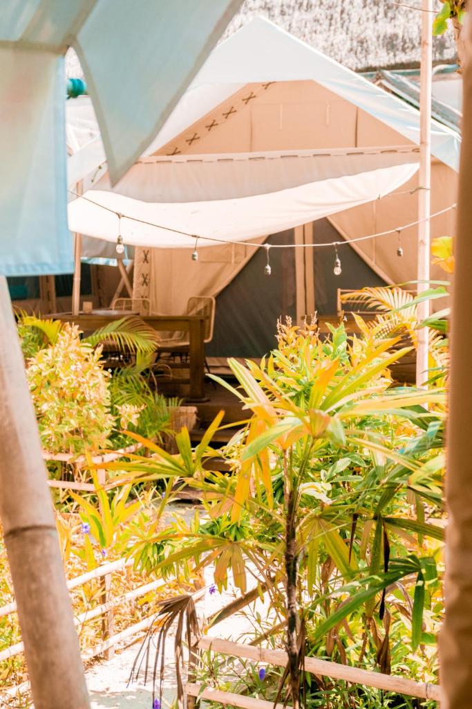 La Cocoteraie Ecolodge- Glamping - Tap to explore photos
