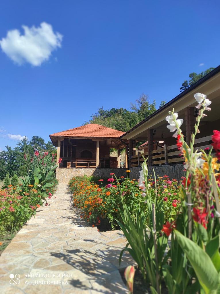 Vila Vera Borsko Jezero photo 1