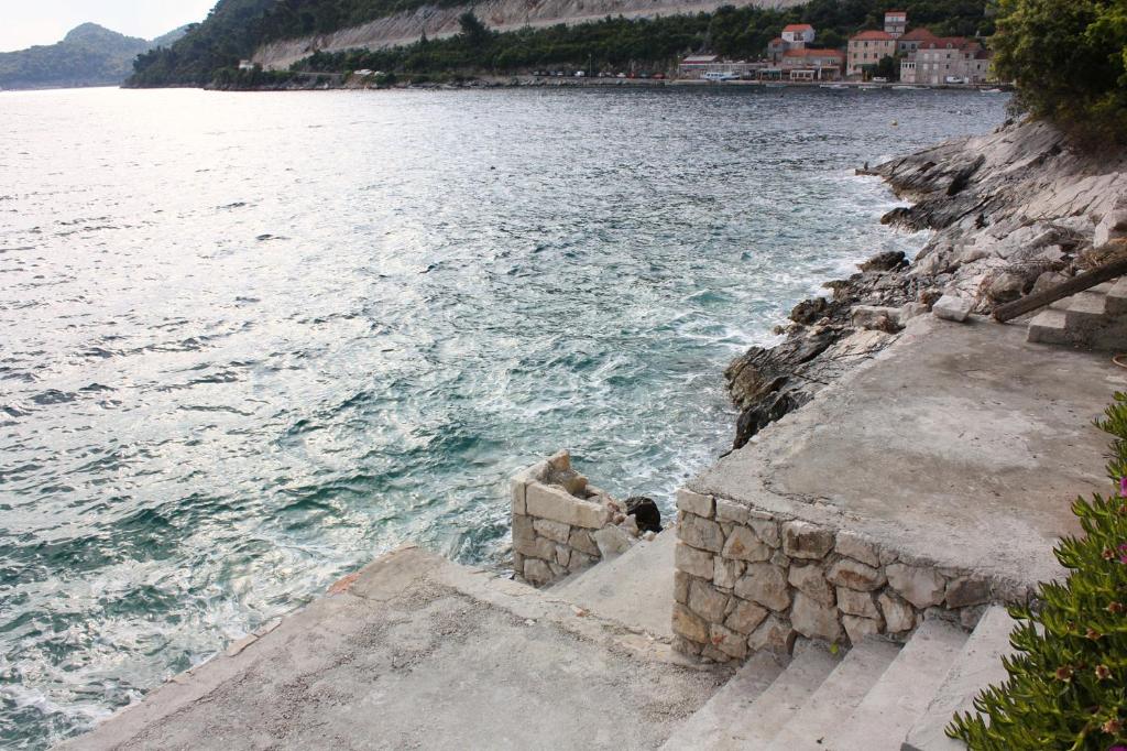 Apartments by the sea Sobra, Mljet - 4889 photo 4