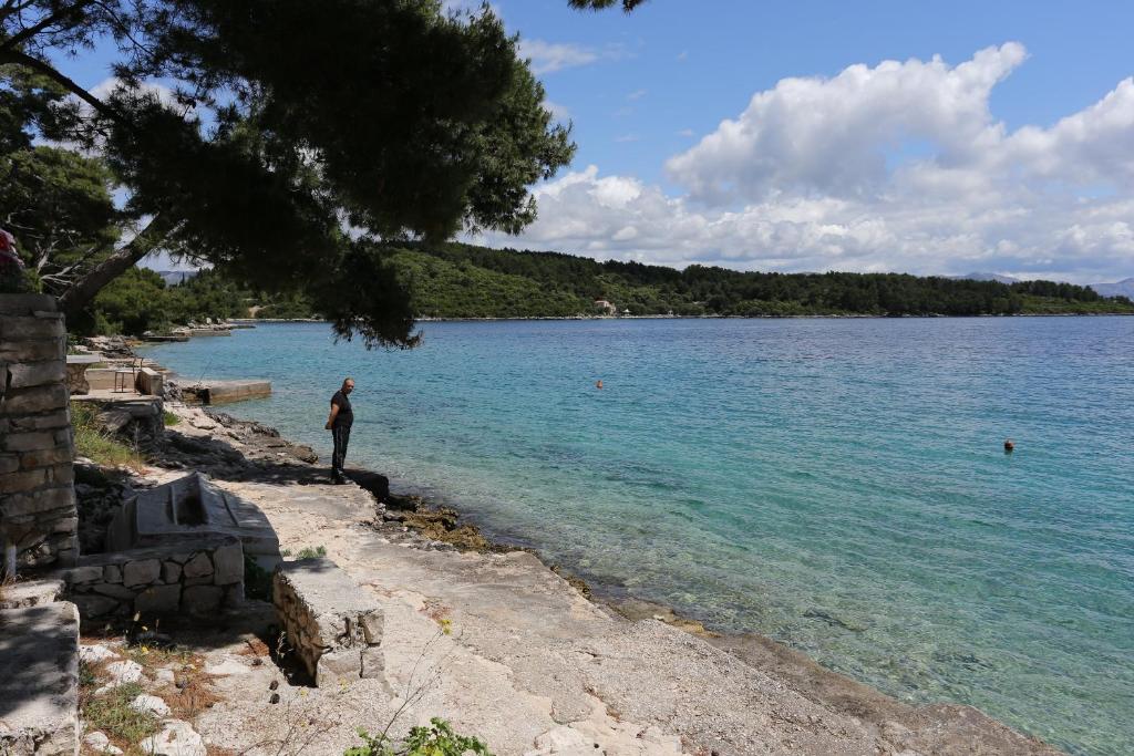 Apartments by the sea Lumbarda, Korcula - 9236 photo 4