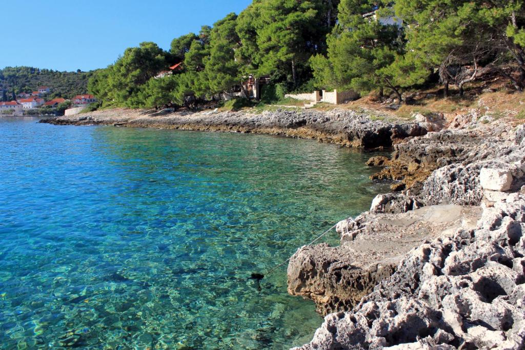 Apartments by the sea Lumbarda, Korcula - 9260 photo 4