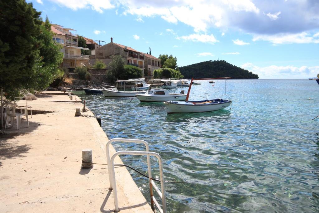 Apartments by the sea Brna, Korcula - 9187 photo 4