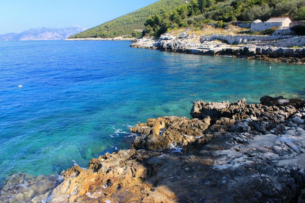Seaside secluded apartments Cove Danca - Babina, Korcula - 9322 photo 3