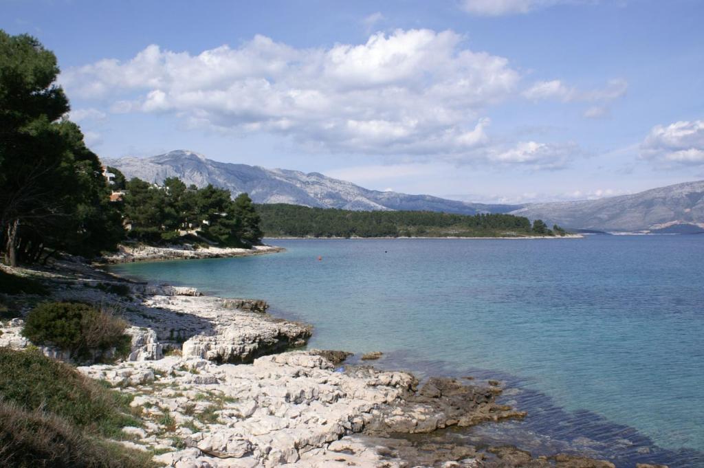 Apartments and rooms by the sea Lumbarda, Korcula - 9305 photo 4