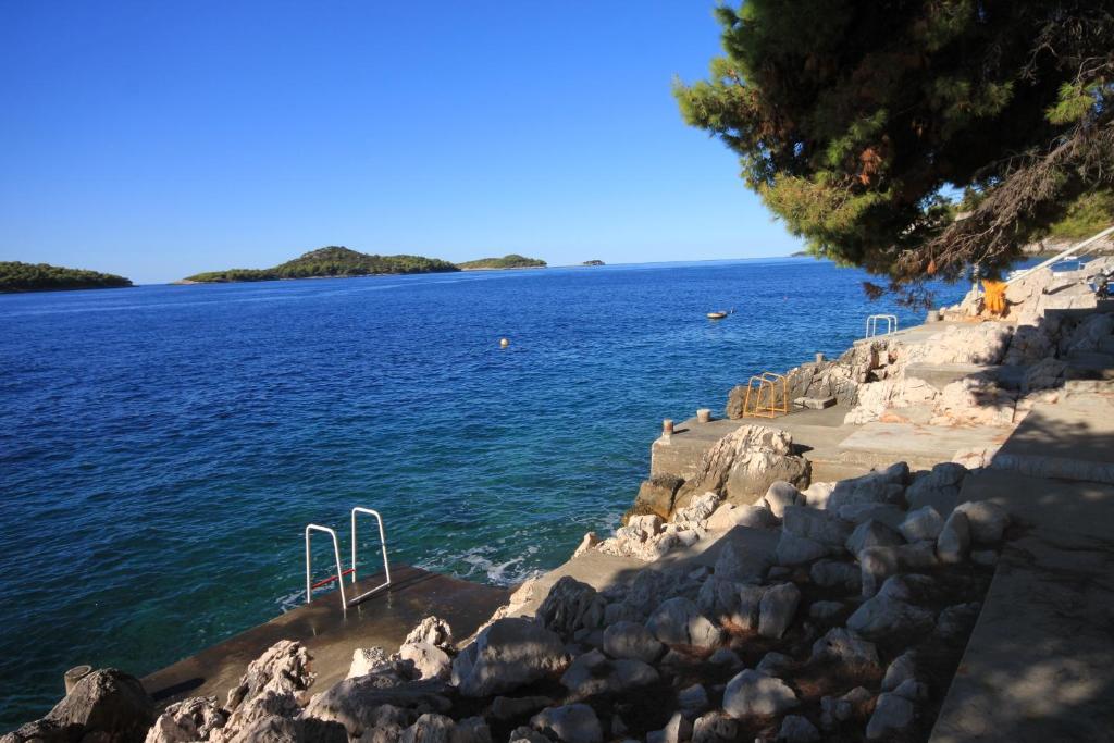 Apartments by the sea Prizba, Korcula - 176 photo 4