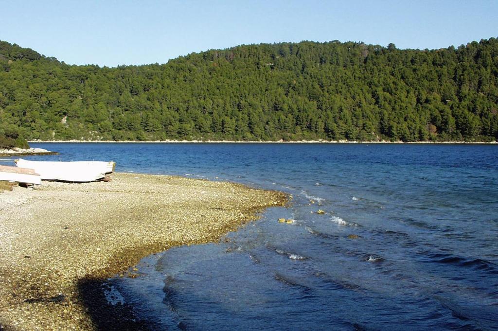 Apartments by the sea Polace, Mljet - 16296 photo 1