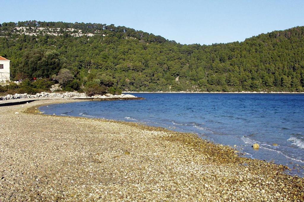 Apartments by the sea Polace, Mljet - 16296 photo 3