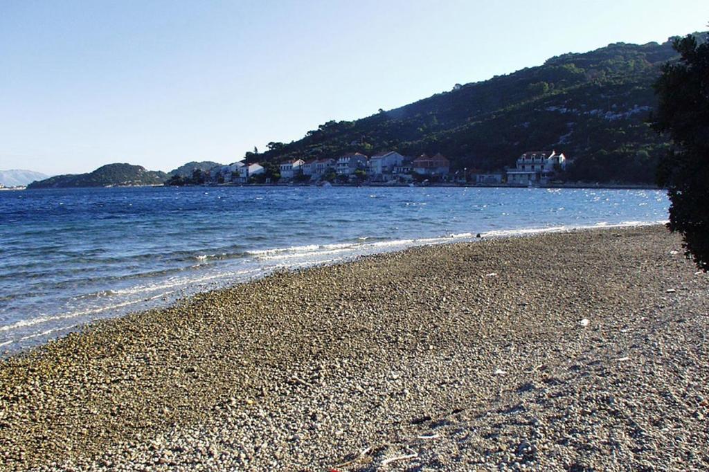 Apartments by the sea Polace, Mljet - 16296 photo 2