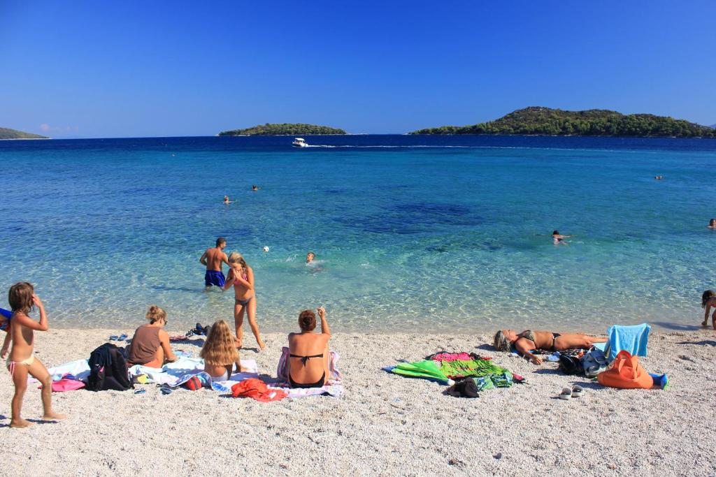 Apartments by the sea Prizba, Korcula - 4485 photo 3