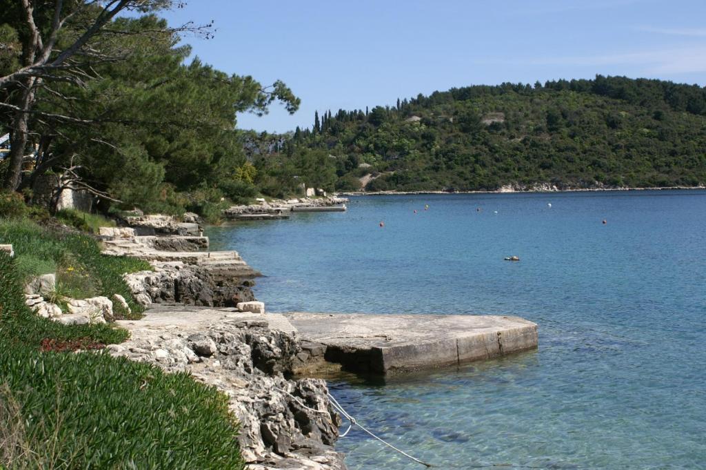 Apartments by the sea Lumbarda, Korcula - 4440 photo 3