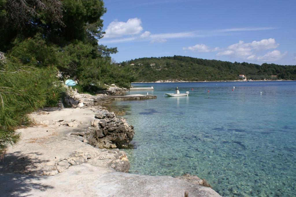 Apartments by the sea Lumbarda, Korcula - 17249 photo 1