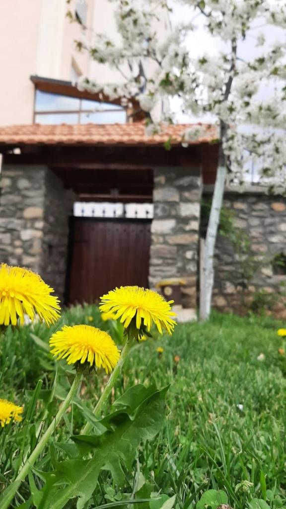 Guesthouse Tershana photo 1