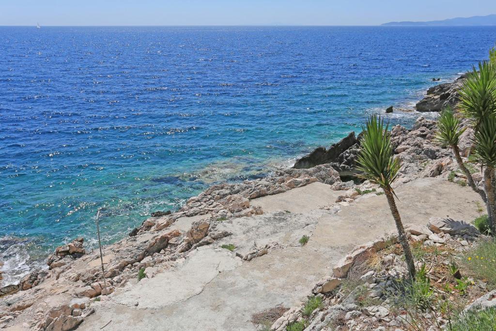 Apartments by the sea Dingac - Potocine, Peljesac - 4533 photo 4