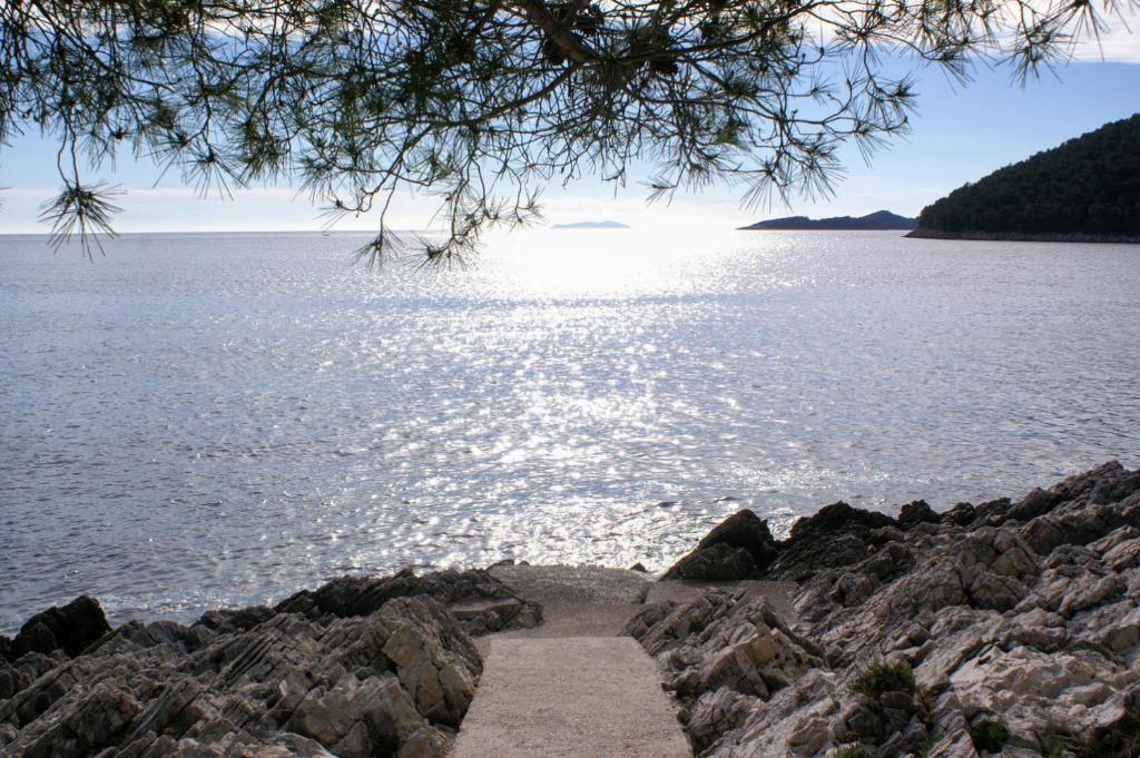 Apartments by the sea Brna, Korcula - 4333 photo 4