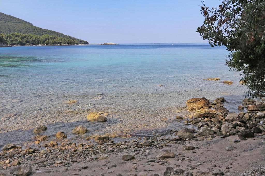 Apartments by the sea Zuljana, Peljesac - 10233 photo 4