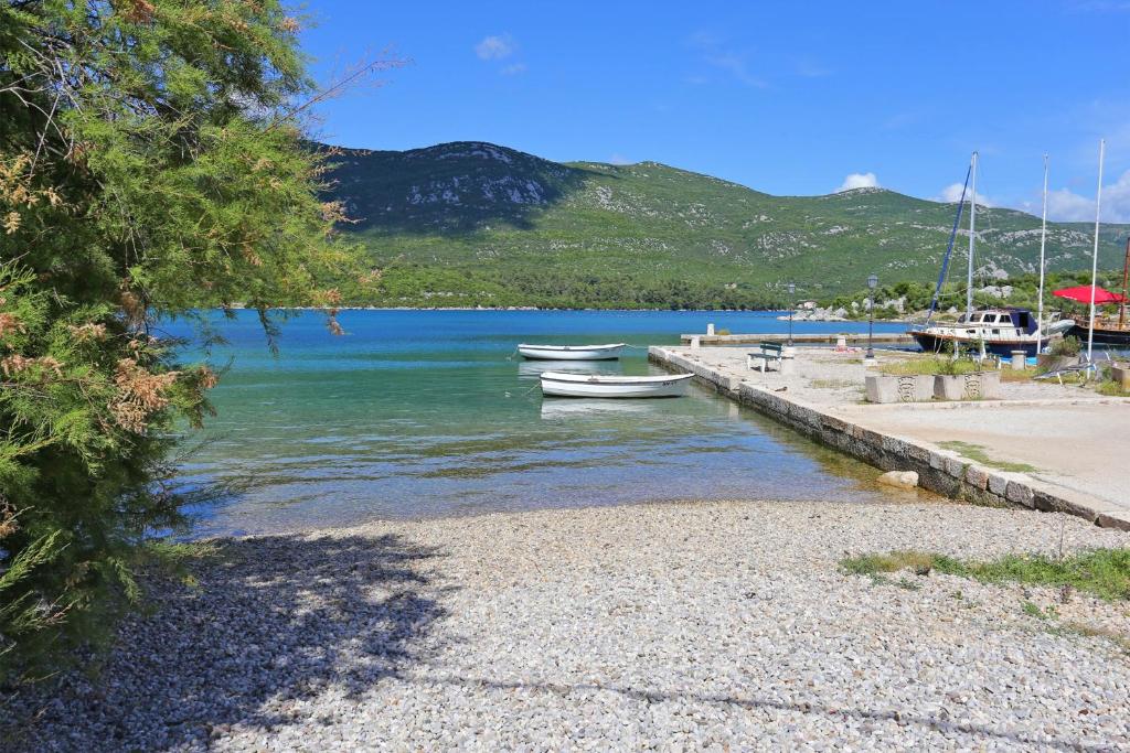 Rooms with WiFi Ston, Peljesac - 19339 photo 4