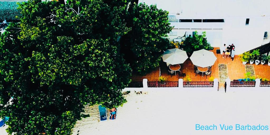 Beach Vue Barbados photo 3
