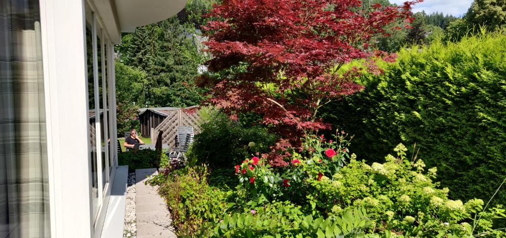 Ferienhaus Schulte - Villa Jupp und Apartment Liesl photo 3