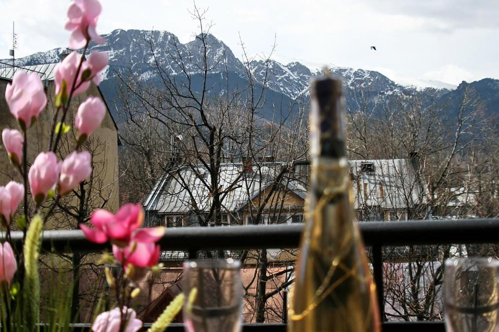 Апартаменты (Апартаменты), Apartamenty Zakopane Krupówki