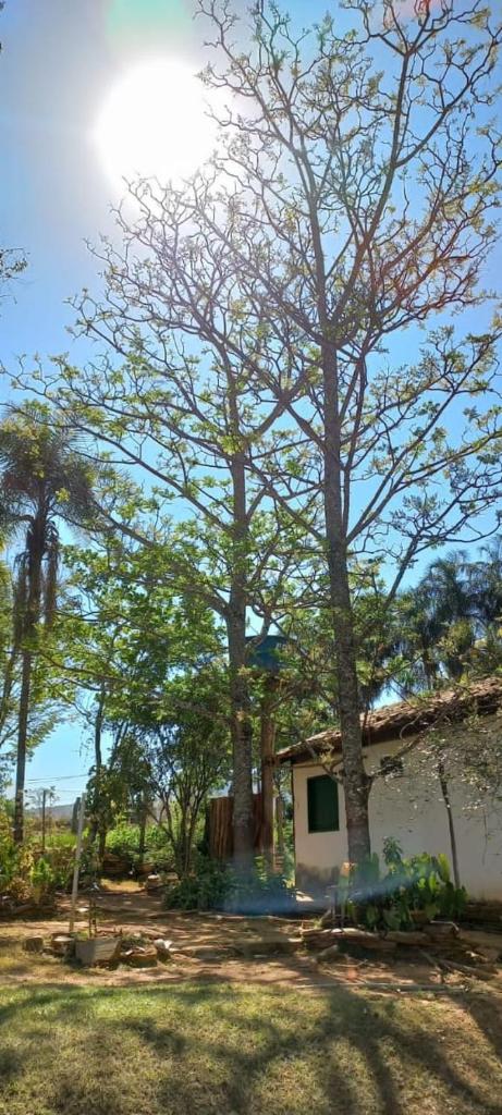 Chacara bica dágua photo 2