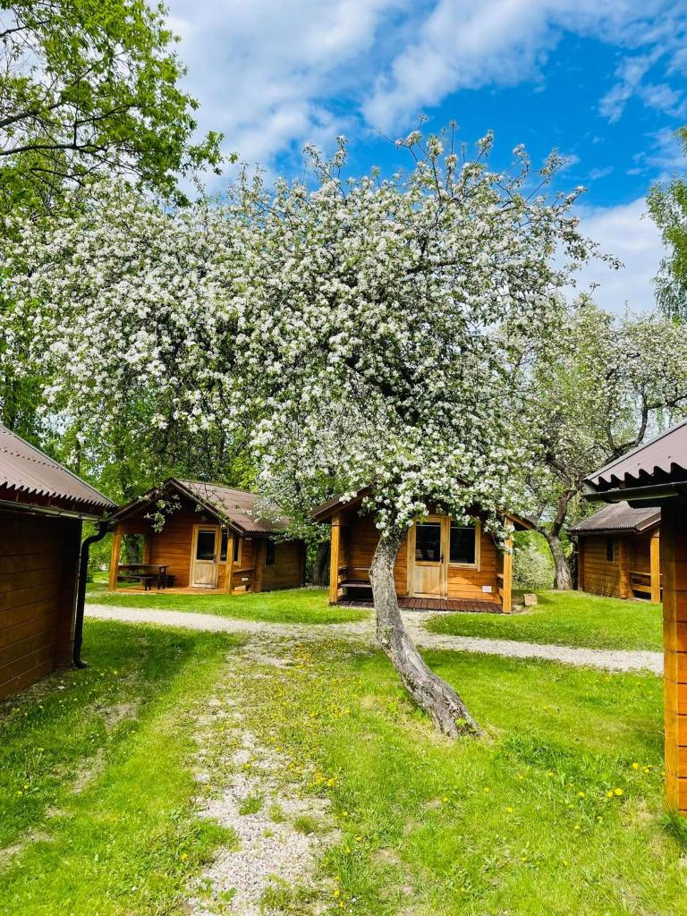 Kempingas "Obuolių sala" photo 4