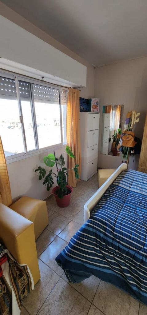 Departamento Carolina photo 1