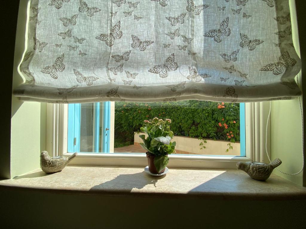 Catarin Comfort Rooms photo 2
