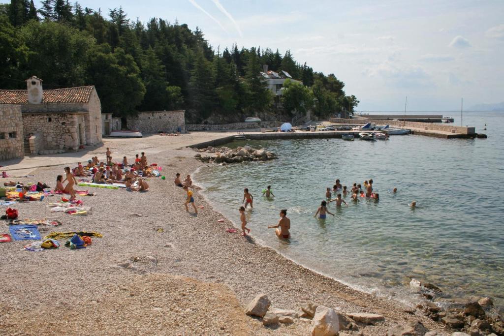 Apartments with a parking space Dramalj, Crikvenica - 5592 photo 4