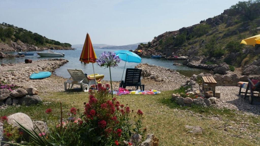 Apartments by the sea Ribarica, Karlobag - 14032 photo 3