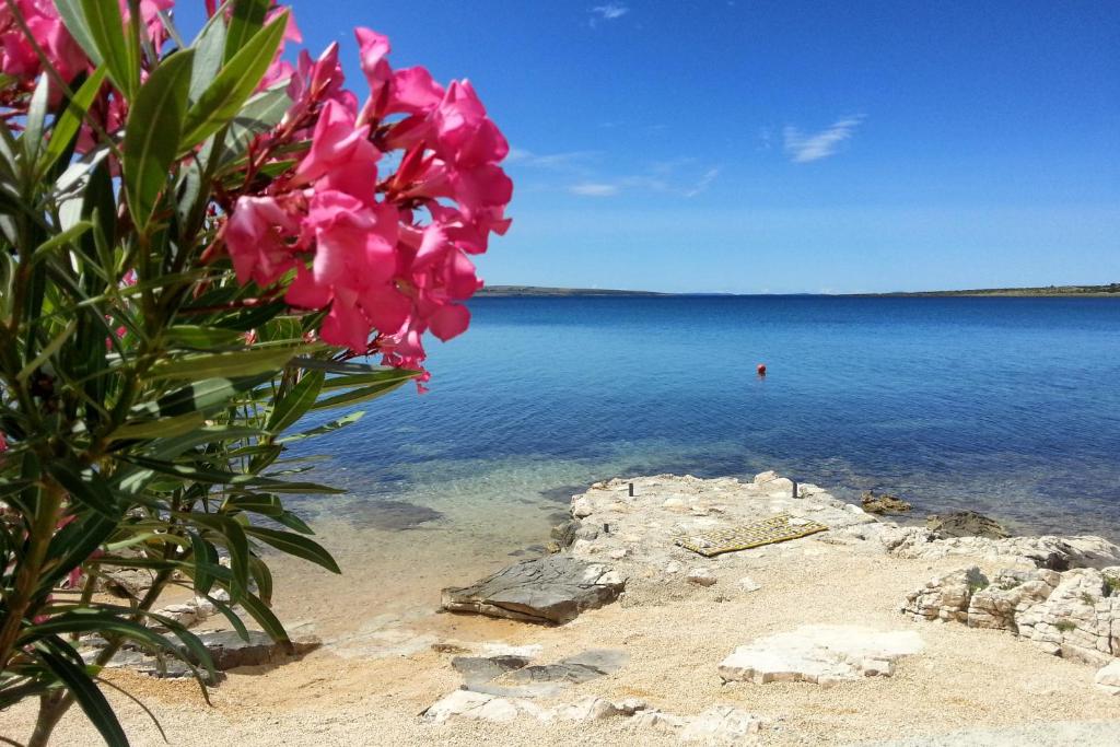 Apartments by the sea Kosljun, Pag - 3321 photo 3