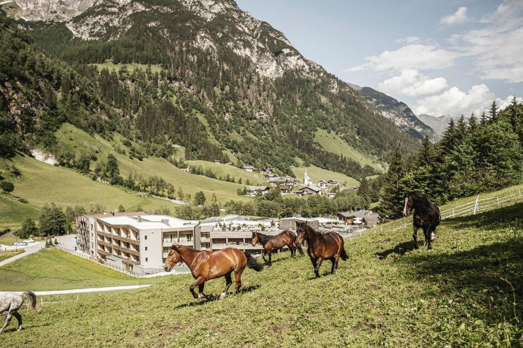 Feuerstein Nature Family Resort photo 2