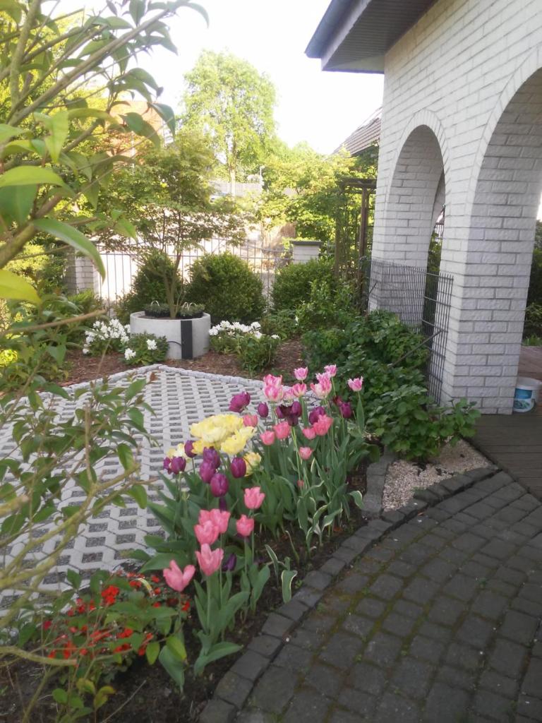 Boarding-Haus, Ostercappeln photo 2