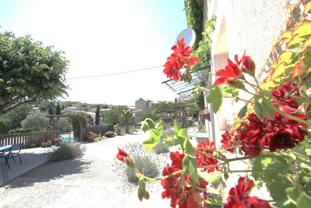 Maison de Laura photo 4