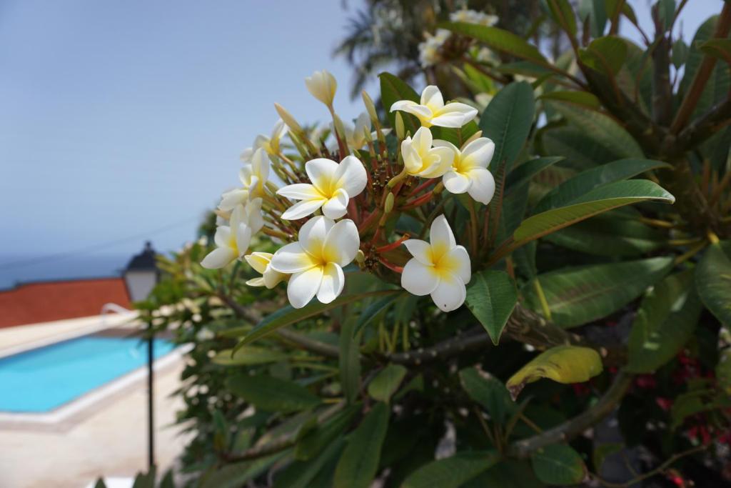 Finca La Romera photo 3