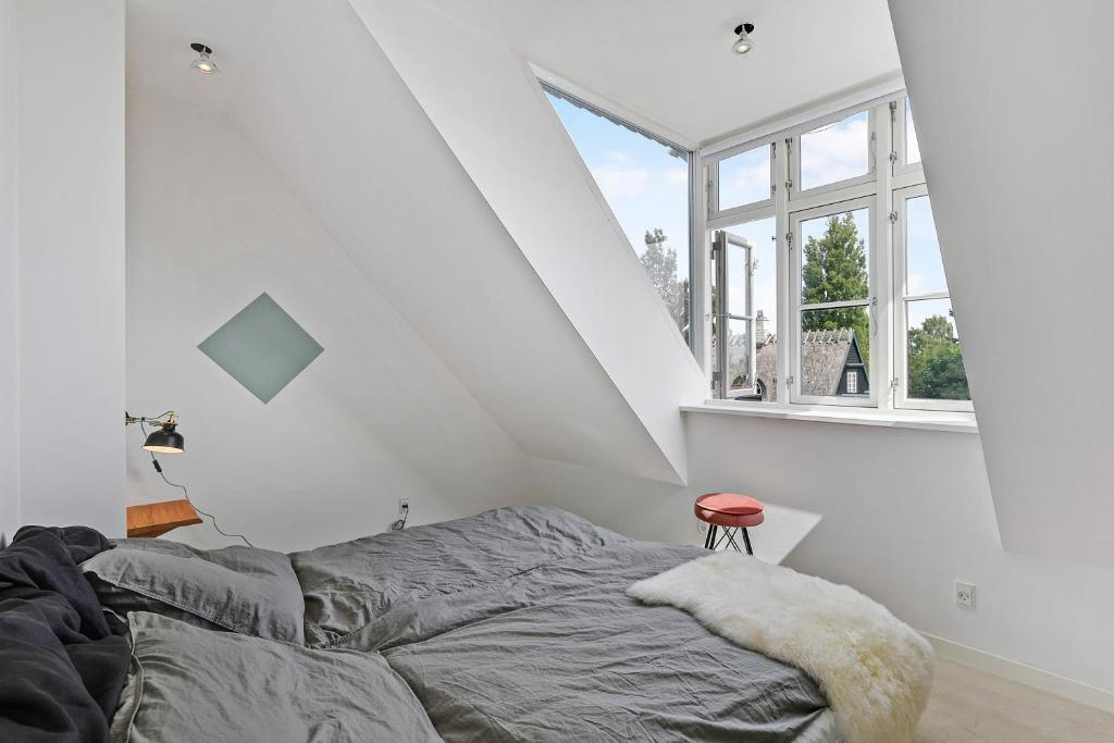 Sunny 1st floor apartment photo 3