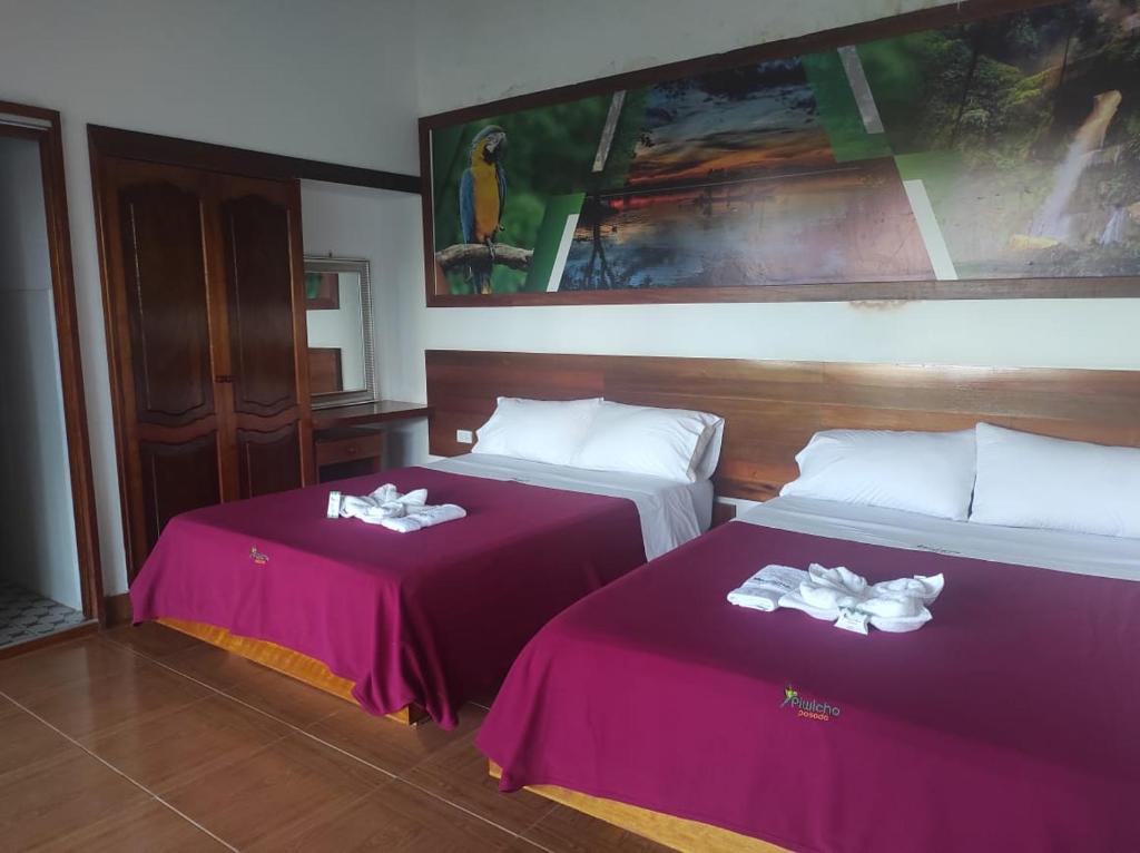 HOTEL BOUTIQUE PIWICHO photo 3