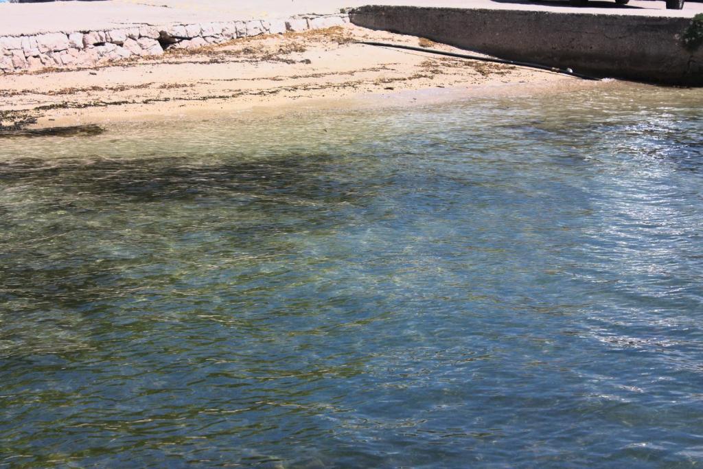 Family friendly apartments with a swimming pool Barbat, Rab - 4988 photo 4