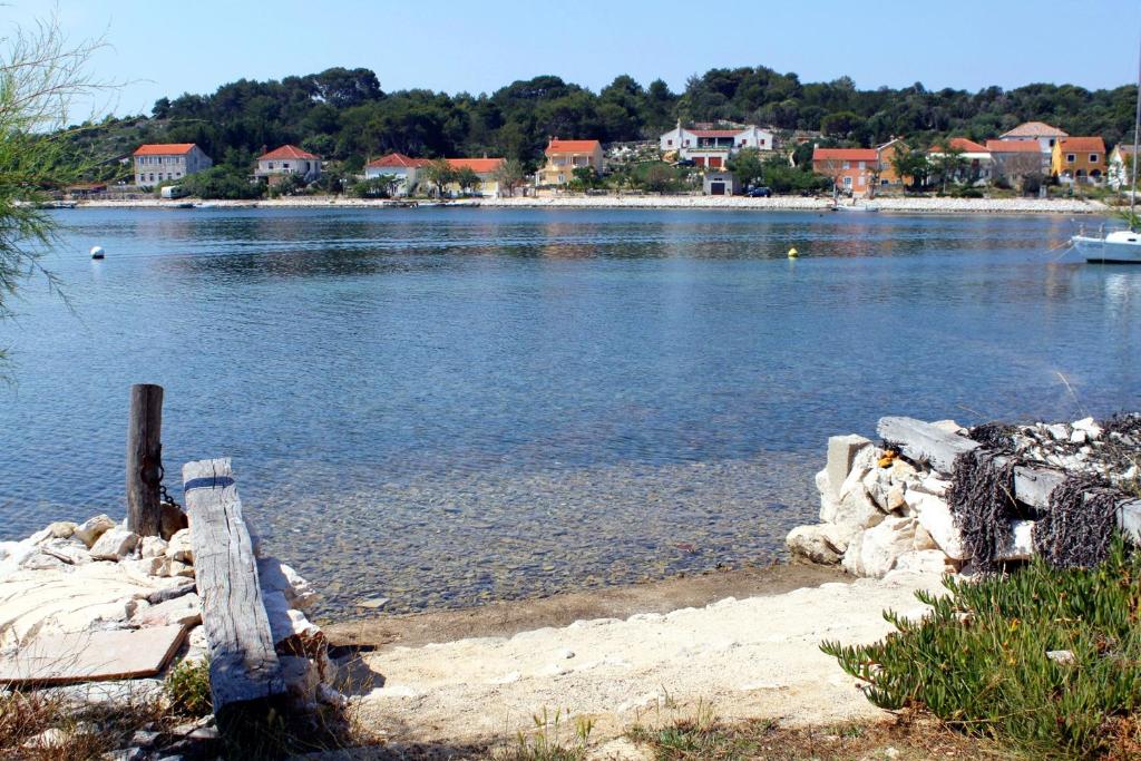 Apartments by the sea Verunic, Dugi otok - 8103 photo 3