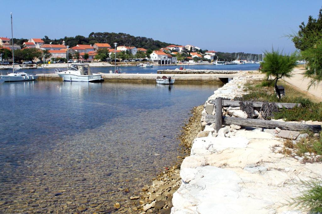 Apartments by the sea Verunic, Dugi otok - 8103 photo 4