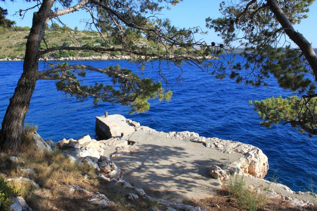 Secluded fisherman's cottage Lavdara, Dugi otok - 8175 photo 3