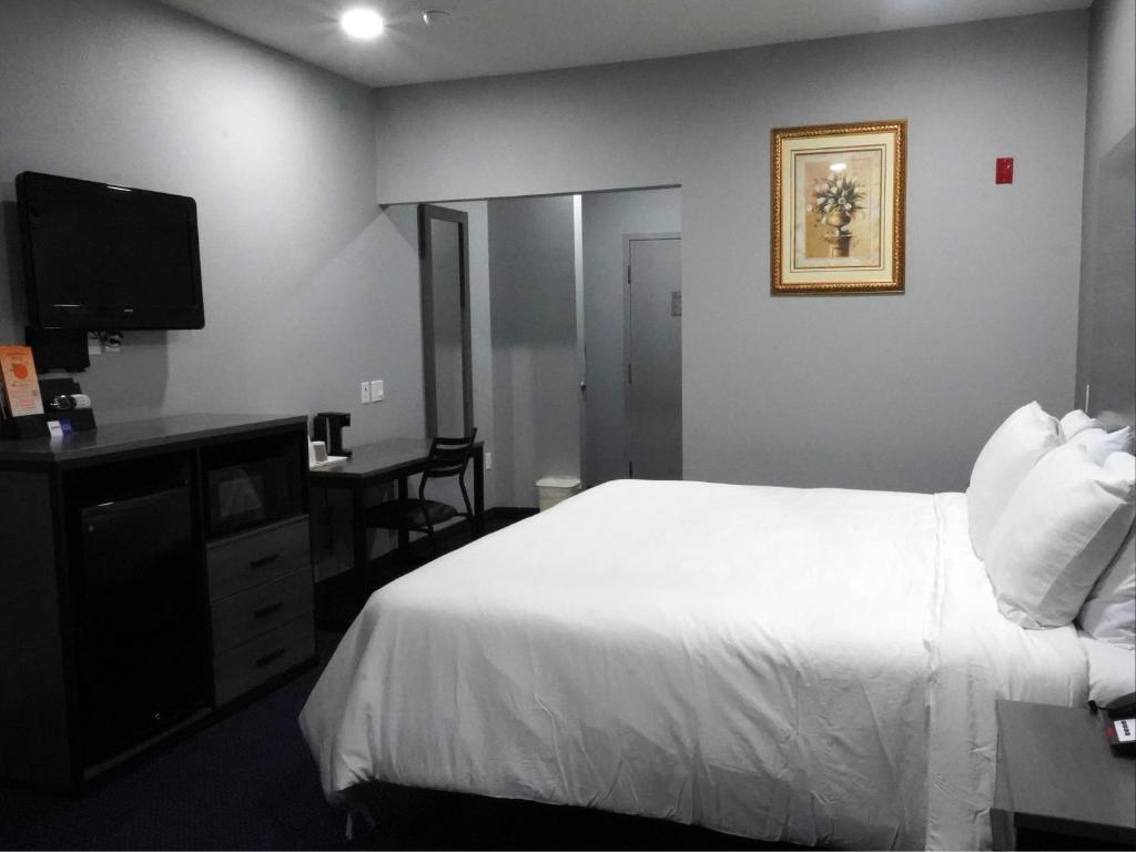 Americas Best Value Inn & Suites Bush Intl Airport image