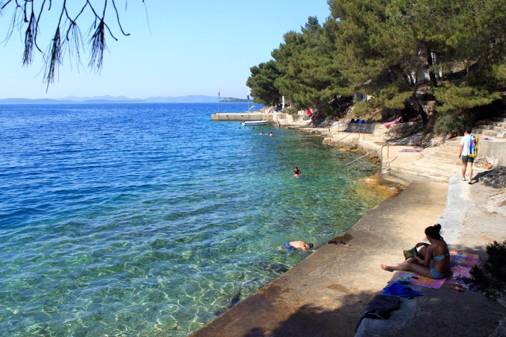 Apartments with a parking space Sali, Dugi otok - 16324 photo 3