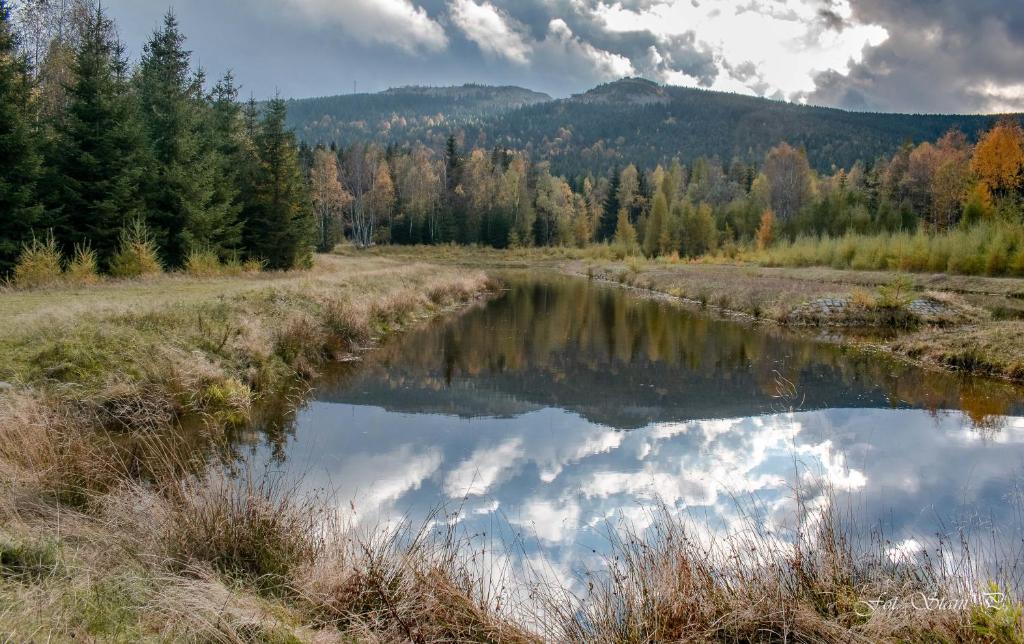 Szewska Pasja Agroturystyka Wiejska photo 3