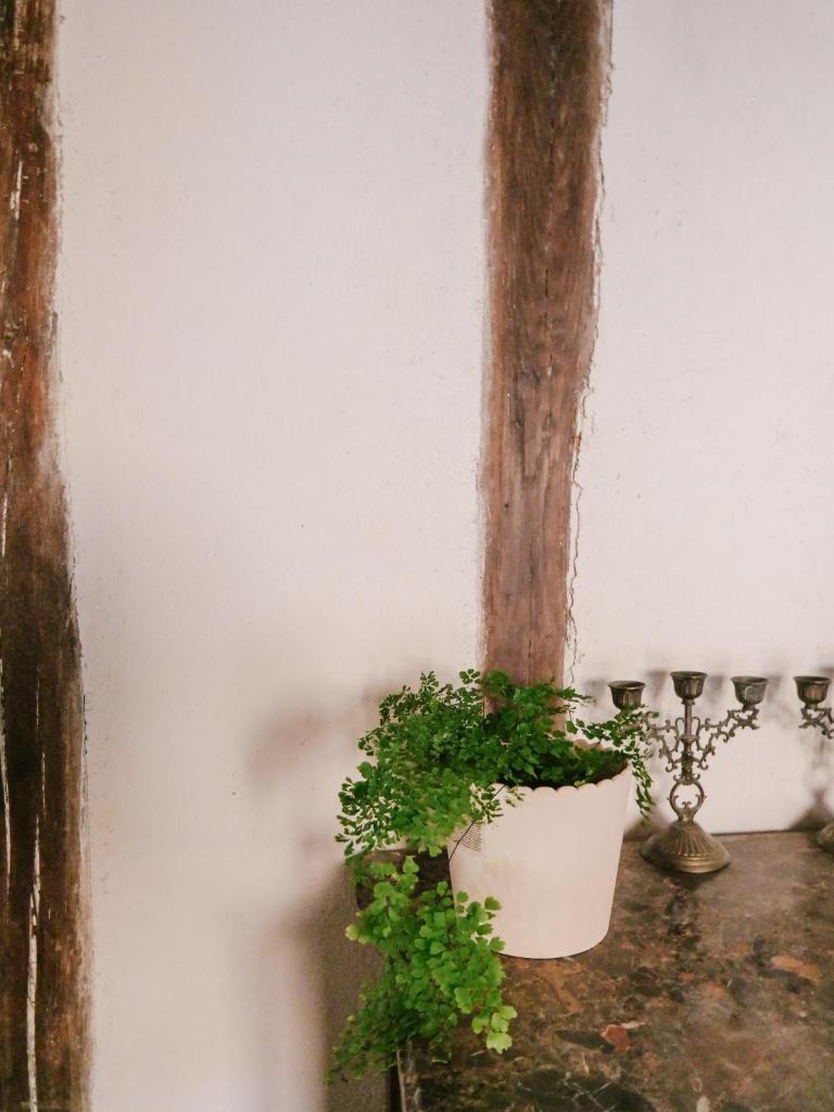 La Maison Pieuse photo 3