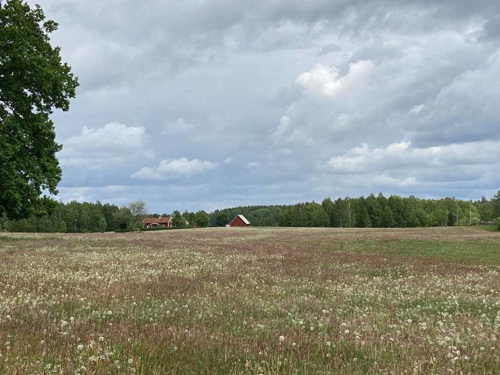 Lovely holiday home in the village of Flattinge, with a view of lake Flaren photo 4