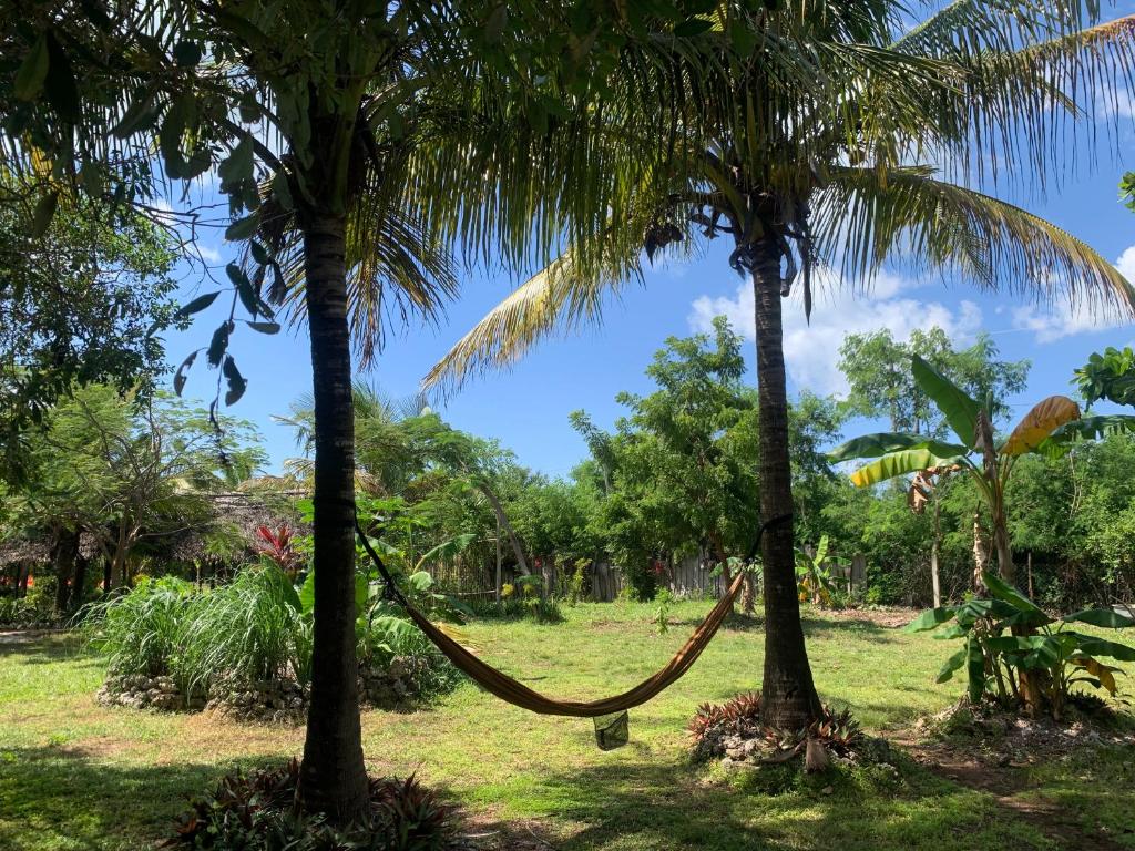 Botanica Eco Lodge photo 4