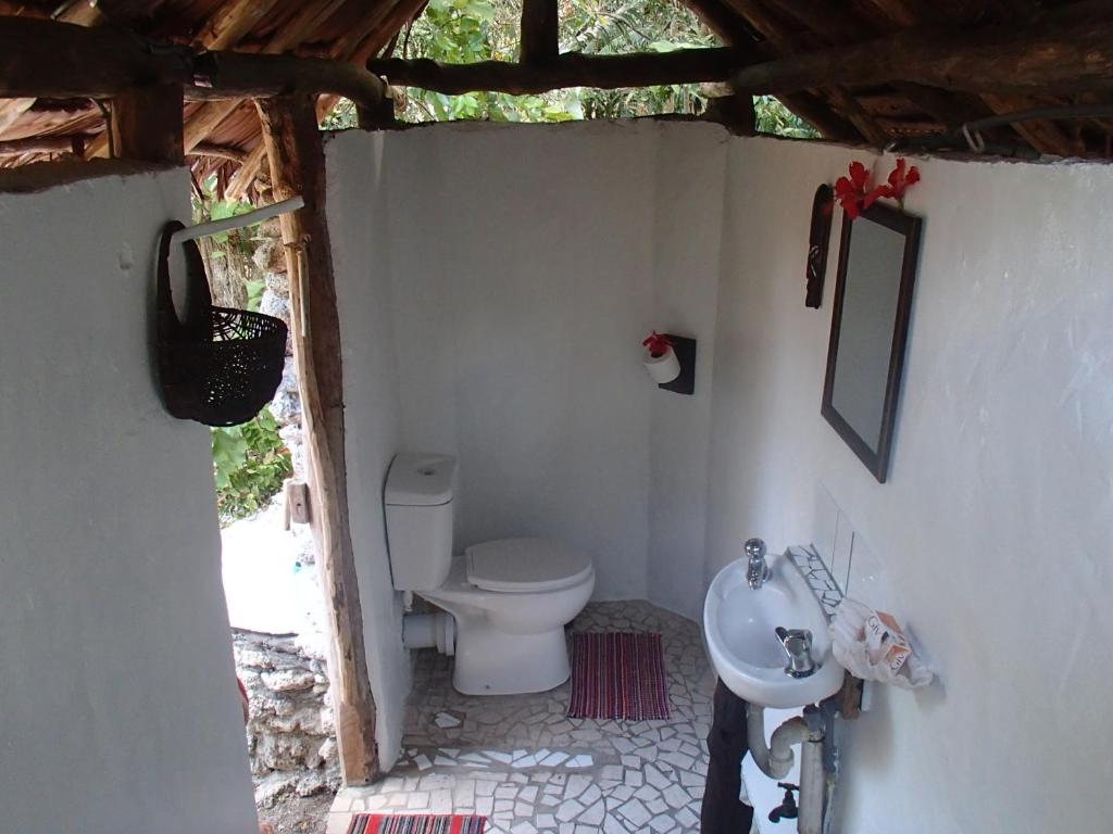 Tranquility Island Eco Dive Resort photo 4