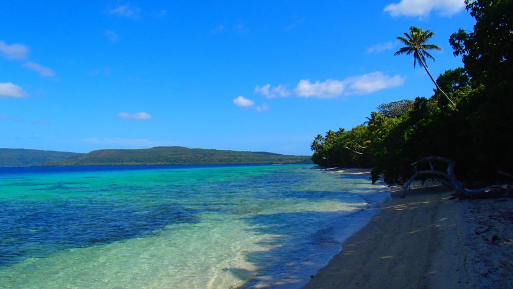 Tranquility Island Eco Dive Resort photo 2