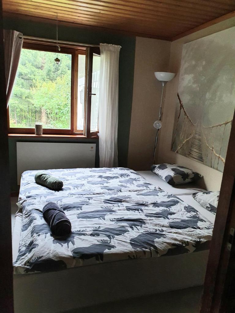 Schnieders2German forest B&B photo 4