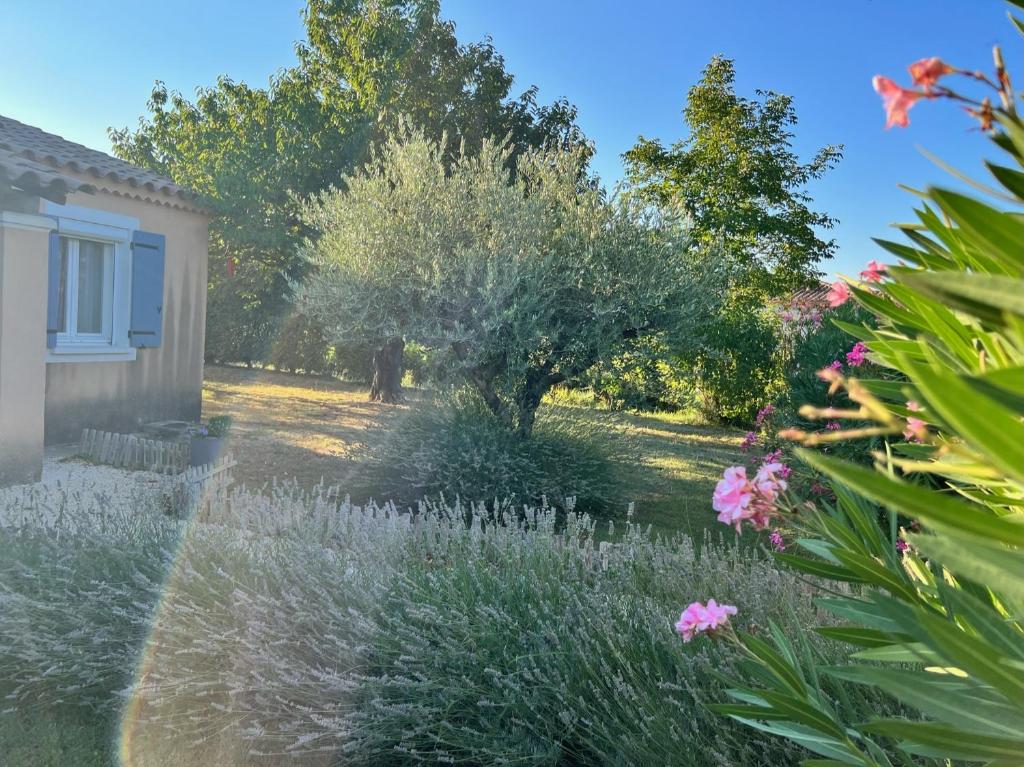 La Villa de l'Aygues photo 2